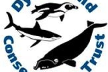 Dyer Island Conservations Trust